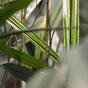 Sztuczna roślina bambusowa 70 cm