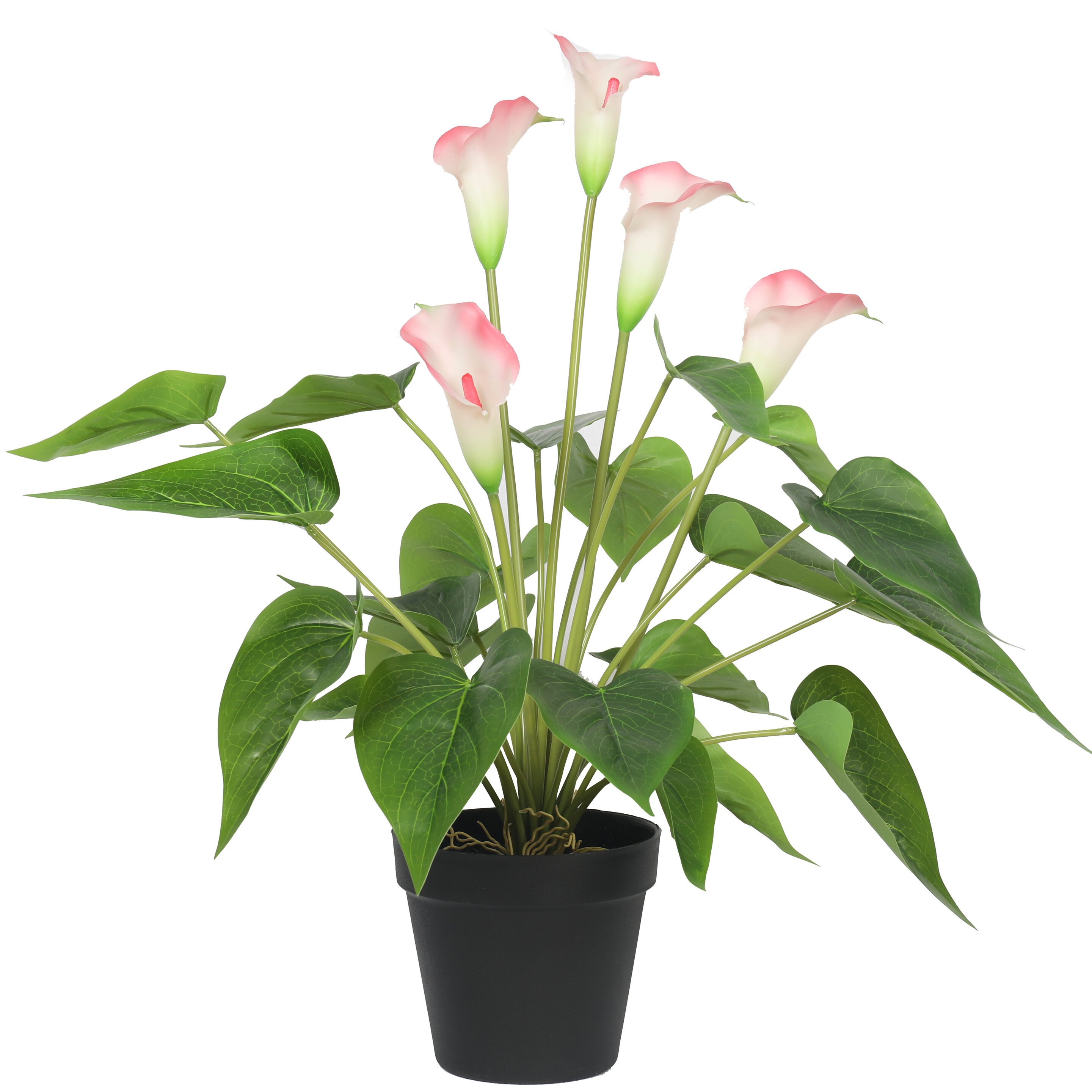 Sztuczna roślina Biało-różowa kala 50 cm