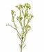 Sztuczna roślina Chamelaucium uncinatum 65 cm