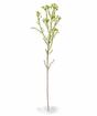 Sztuczna roślina Chamelaucium uncinatum 65 cm