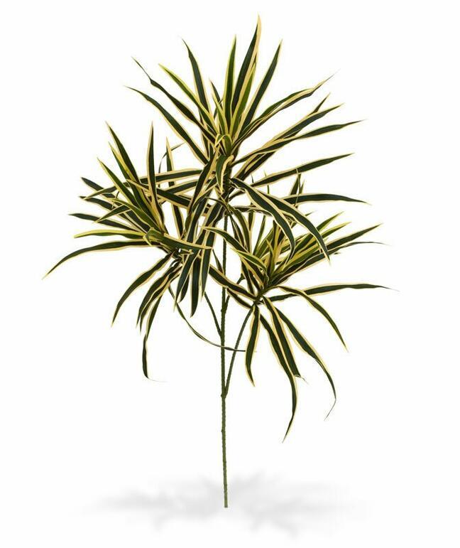 Sztuczna roślina Dracena 80 cm