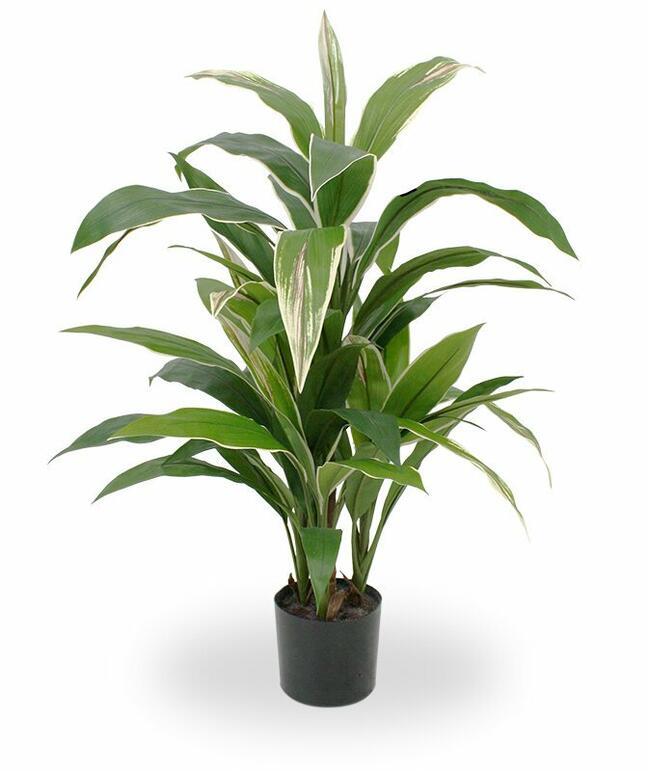 Sztuczna roślina Dracena pachnąca 80 cm