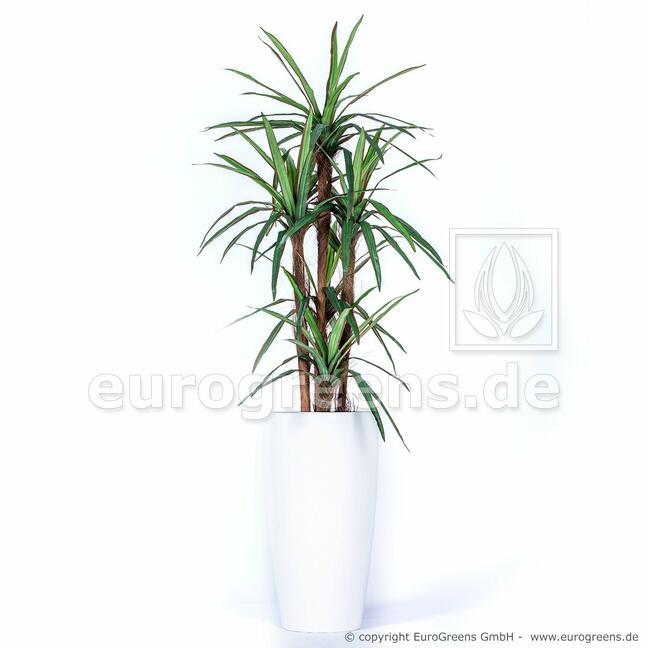 Sztuczna roślina Dracena wyłożona 140 cm