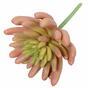 Sztuczna roślina Echeveria różowa 11 cm