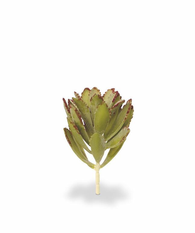 Sztuczna roślina Eševéria 15 cm