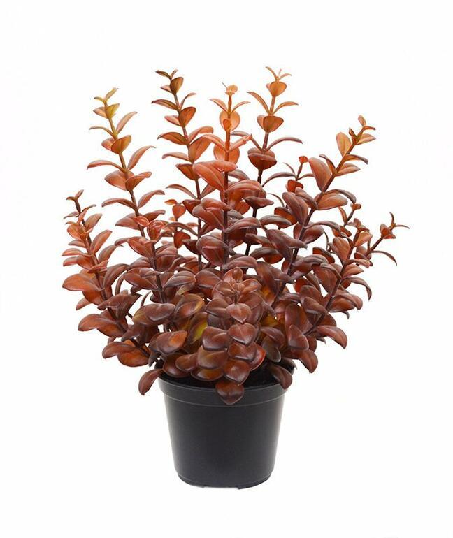 Sztuczna roślina Eukaliptus bordowo-czerwony 30 cm