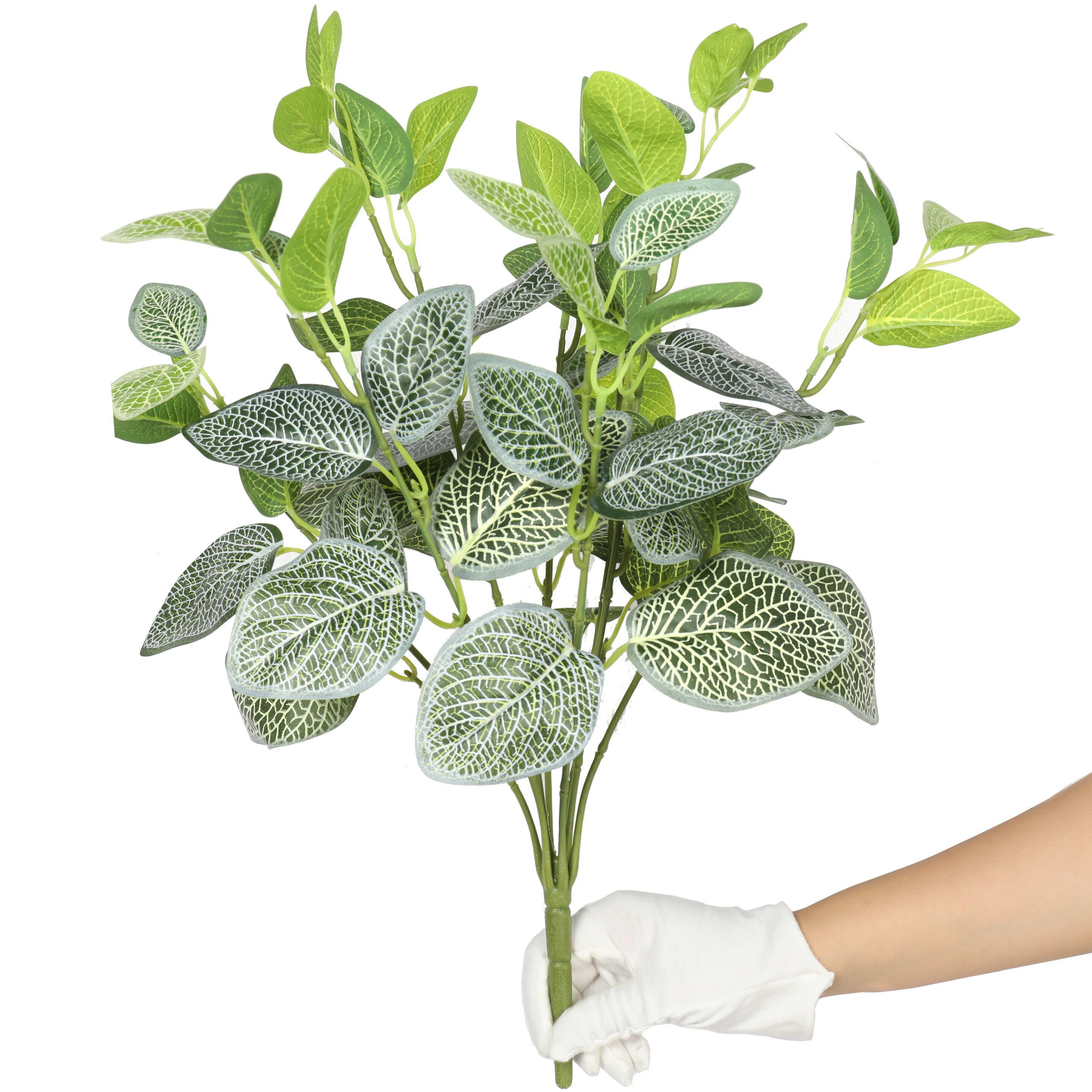 Sztuczna roślina Fitónia biała 45 cm