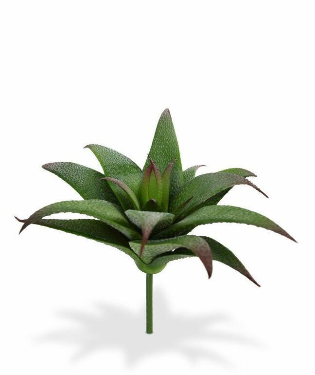 Sztuczna roślina Haworthia 13 cm
