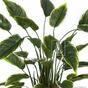 Sztuczna roślina Hosta 50 cm