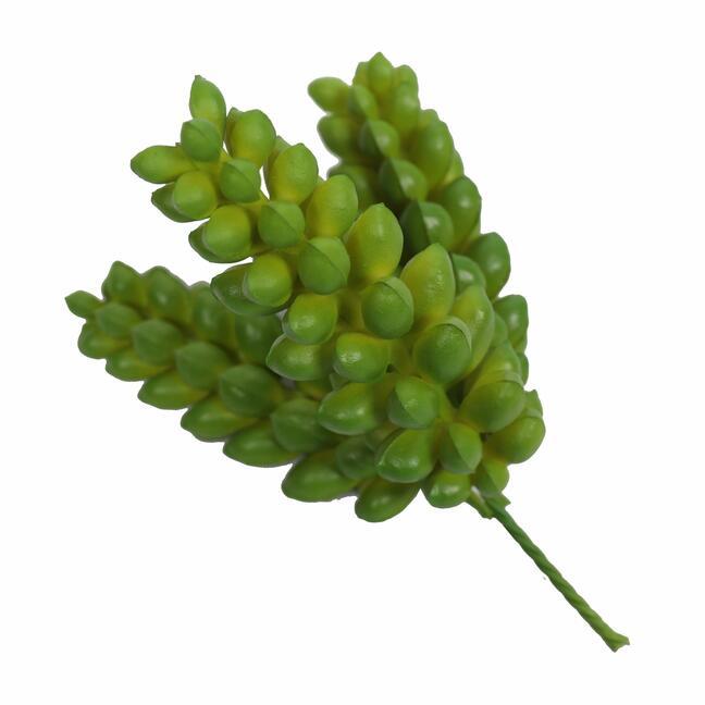 Sztuczna roślina lotosu Sedum Burrito 12 cm