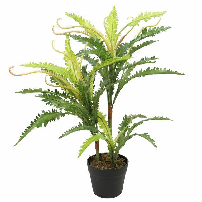 Sztuczna roślina Paprocie 70 cm
