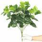 Sztuczna roślina Pavinič zielona 45 cm