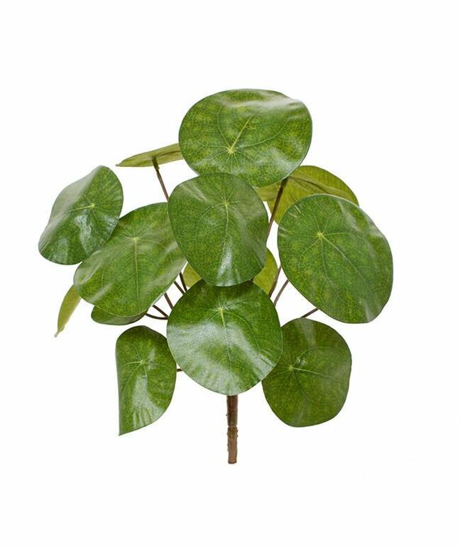 Sztuczna roślina Pilea peperomioides 20 cm