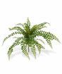 Sztuczna roślina Rotundifolia 55 cm