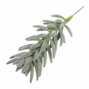 Sztuczna roślina Senecio haworthii 21 cm