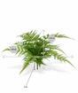 Sztuczna roślina Skrzydło 30 cm