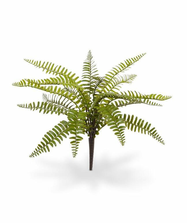 Sztuczna roślina Splenwort 35 cm