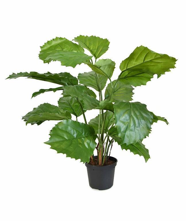 Sztuczna roślina Tetrastigma 40 cm