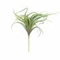 Sztuczna roślina Tillandsia 15 cm