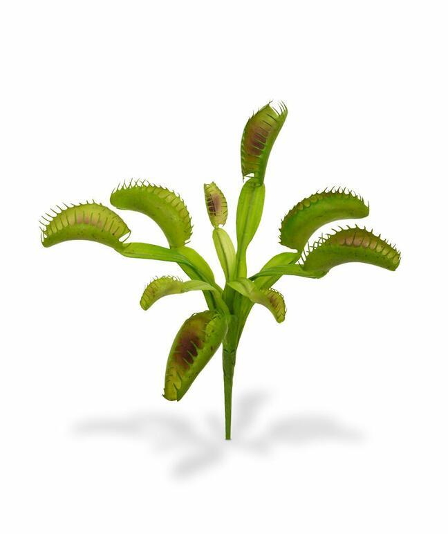 Sztuczna roślina Wenus 20 cm