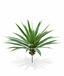 Sztuczna roślina Yucca 55 cm