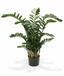 Sztuczna roślina Zamiokulkas 120 cm