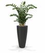 Sztuczna roślina Zamiokulkas 120 cm