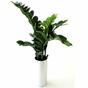 Sztuczna roślina Zamiokulkas 65 cm