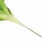 Sztuczna róża pustynna zielona 25,5 cm