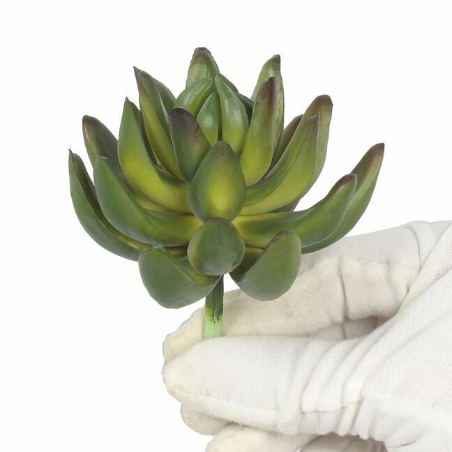 Sztuczna soczysta Echeveria zielona 10 cm