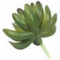 Sztuczna soczysta Echeveria zielona 10 cm