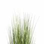 Sztuczna trawa Chiński jasnozielony ornament 150 cm