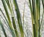 Sztuczna wiązka trawy bambusowej w doniczce 80 cm