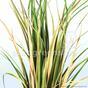 Sztuczna wiązka trawy Trzcina pospolita 85 cm