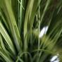 Sztuczna wiązka trawy w doniczce 100 cm
