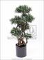 Sztuczne bonsai Nohovec 135 cm