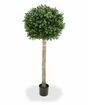 Sztuczne drzewo Buxus okrągłe 110 cm