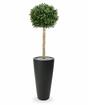 Sztuczne drzewo Buxus okrągłe 110 cm