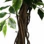 Sztuczne drzewo Fikus liana 150 cm
