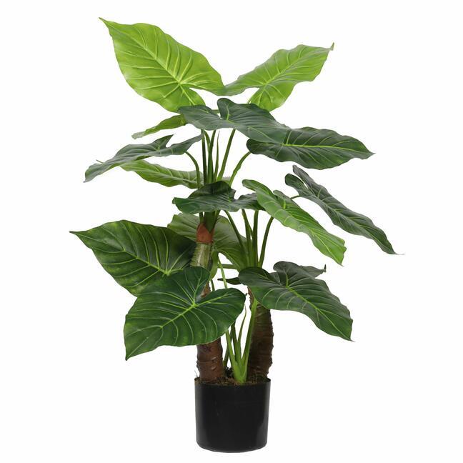 Sztuczne drzewo Taro Alokazja 80 cm