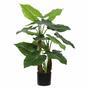 Sztuczne drzewo Taro Alokazja 80 cm