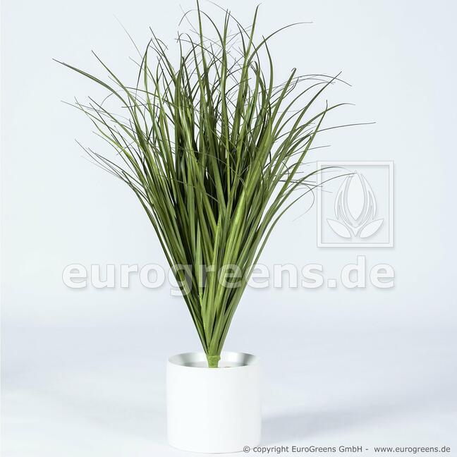 Sztuczne żłobienie wiązki trawy Trzcina pospolita 80 cm