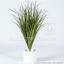 Sztuczne żłobienie wiązki trawy Trzcina pospolita 80 cm
