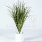 Sztuczne żłobienie wiązki trawy Trzcina pospolita 80 cm