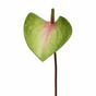 Sztuczny liść Anturium różowo-zielony 50 cm