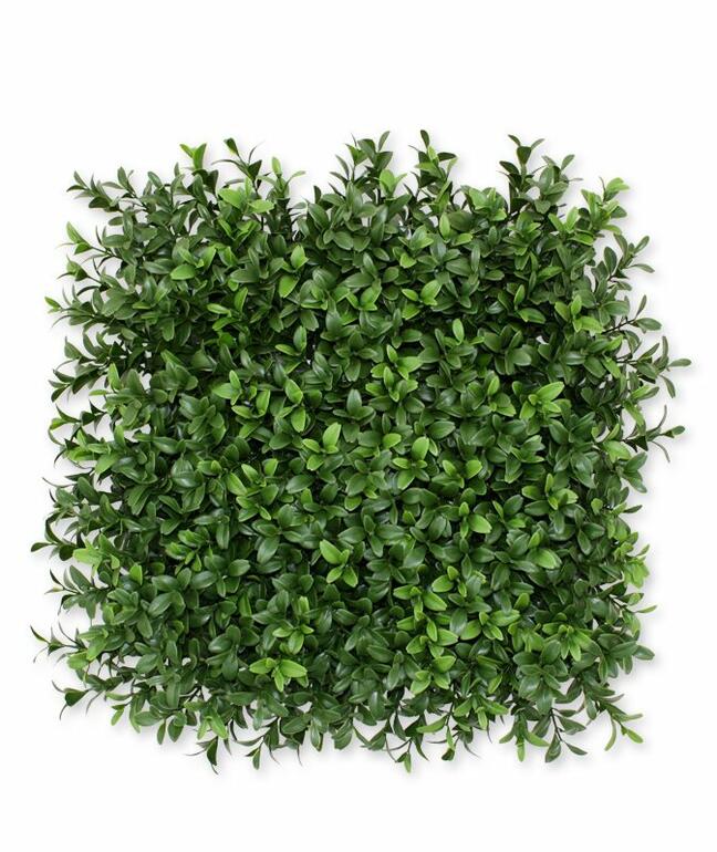 Sztuczny panel Buxus - 25x25 cm