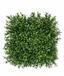 Sztuczny panel Buxus - 25x25 cm