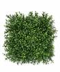 Sztuczny panel Buxus - 25x25 cm