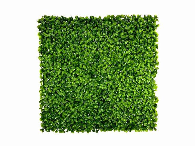 Sztuczny panel liścia Peperomia - 50x50 cm