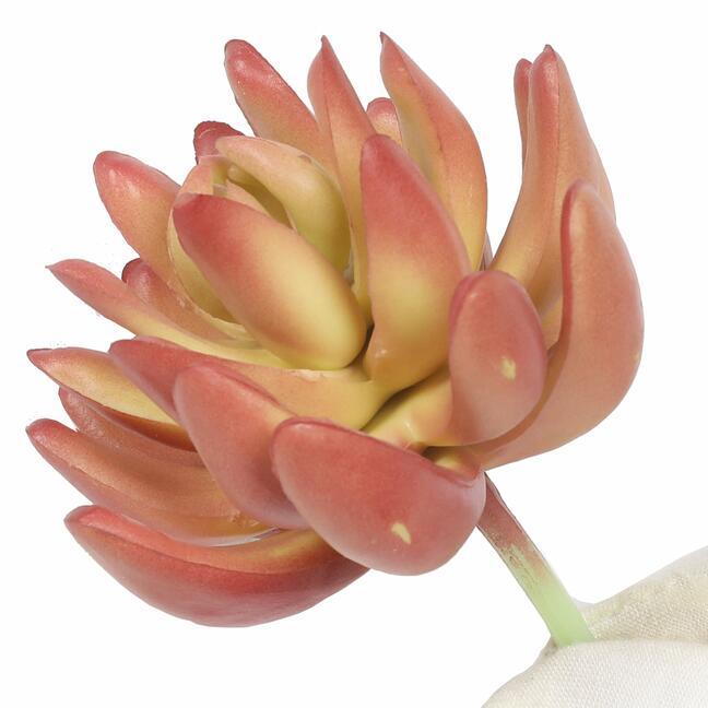 Sztuczny soczysty Echeveria 10 cm